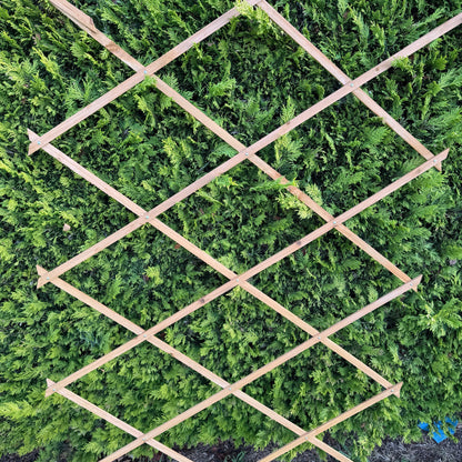 Expanding Wooden Garden Trellis (180cm x 90cm) -  Pack of 2