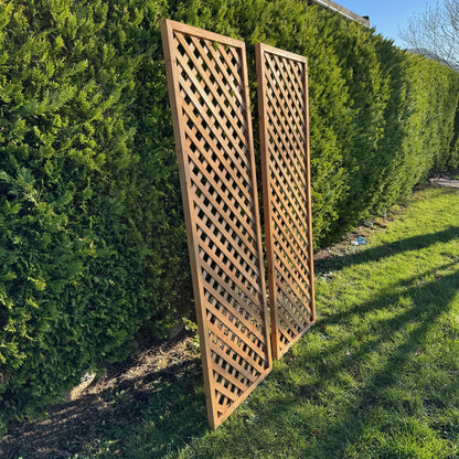 Wooden Framed Trellis Fence Panels (180cm x 60cm) - Pack of 2