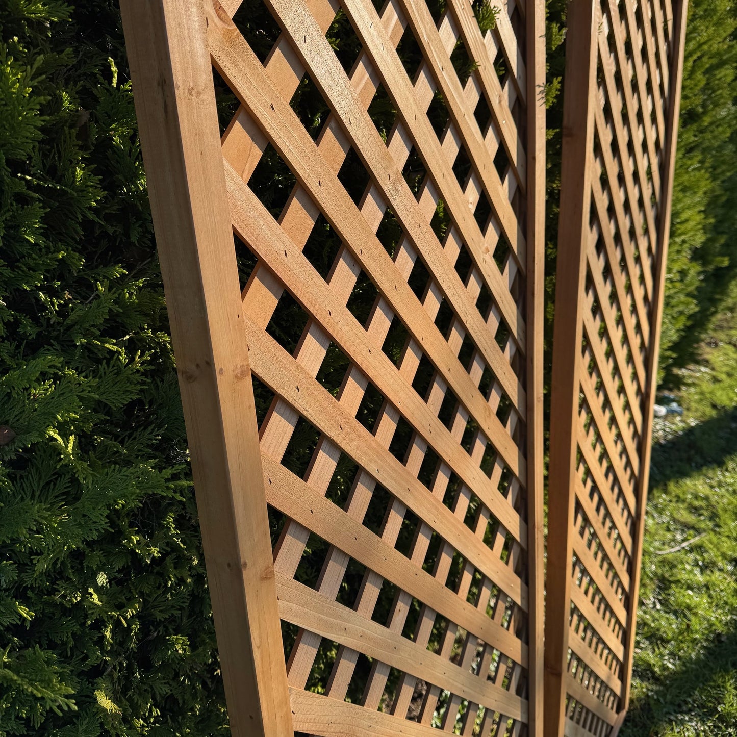 Wooden Framed Trellis Fence Panels (180cm x 60cm) - Pack of 2