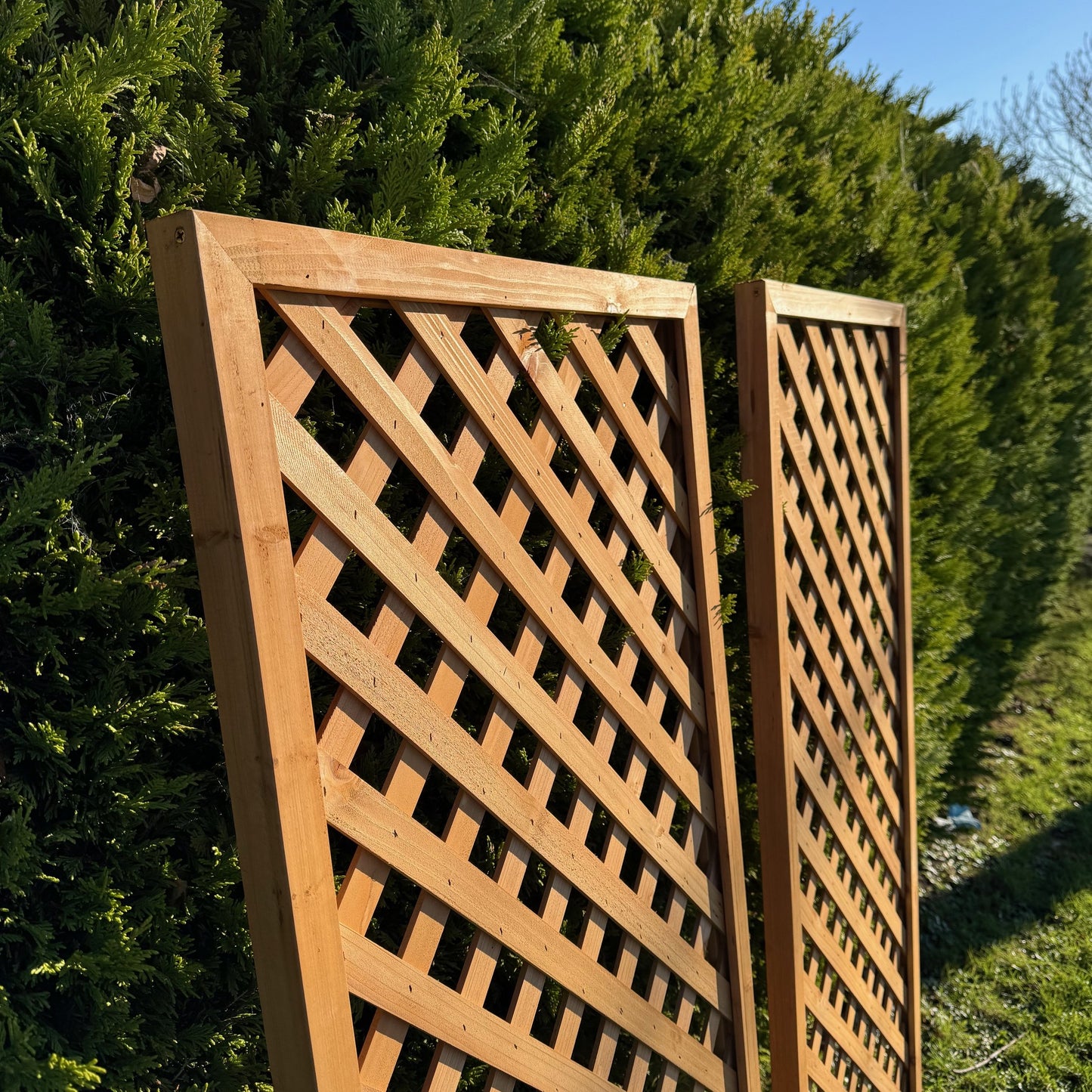 Wooden Framed Trellis Fence Panels (180cm x 60cm) - Pack of 2