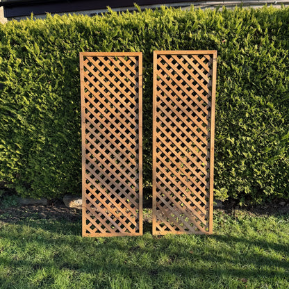 Wooden Framed Trellis Fence Panels (180cm x 60cm) - Pack of 2