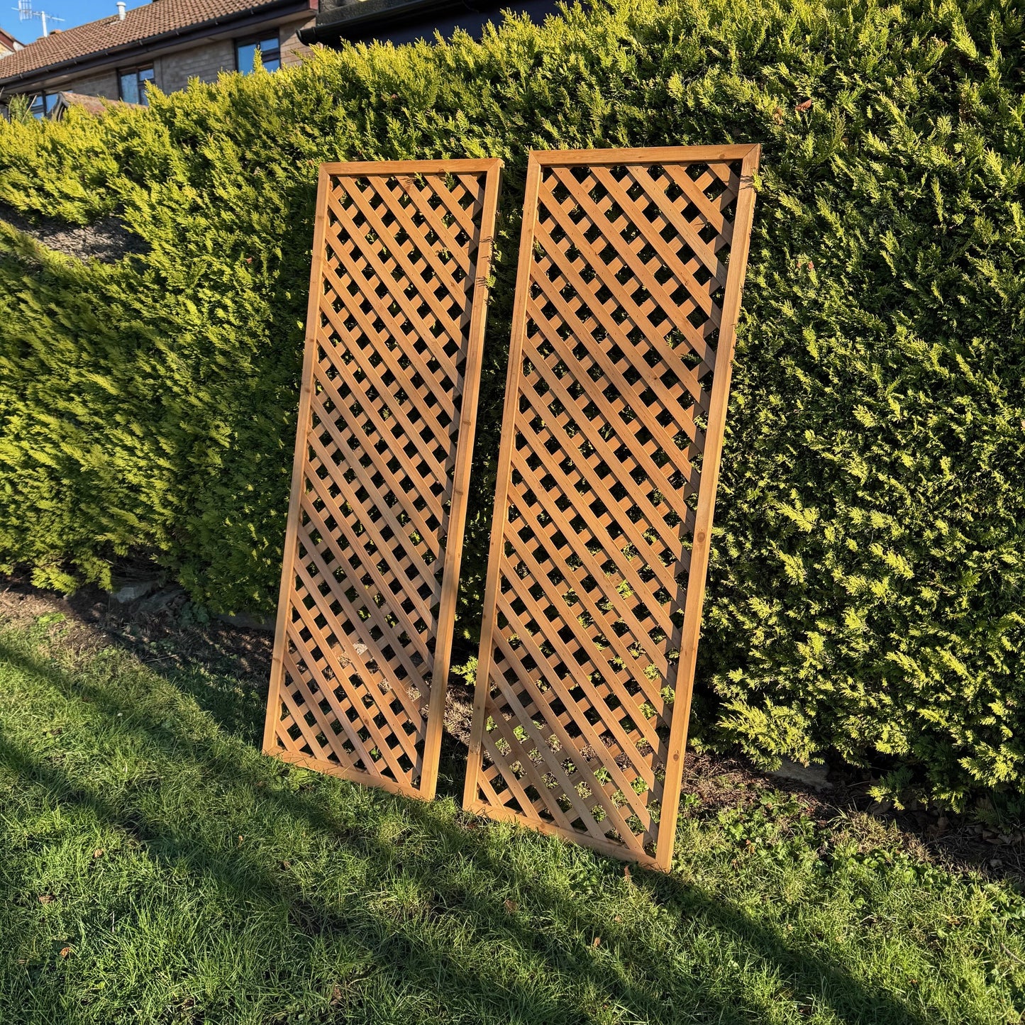 Wooden Framed Trellis Fence Panels (180cm x 60cm) - Pack of 2