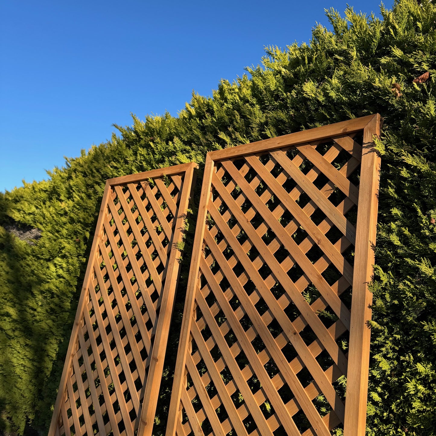 Wooden Framed Trellis Fence Panels (180cm x 60cm) - Pack of 2