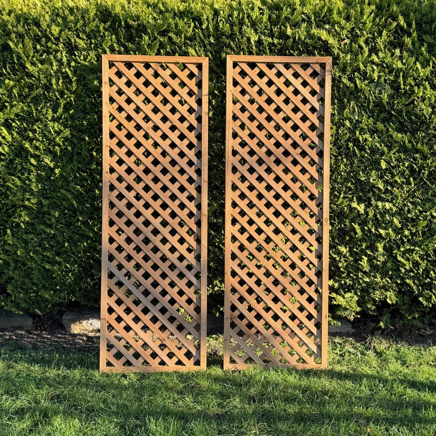 Wooden Framed Trellis Fence Panels (180cm x 60cm) - Pack of 2