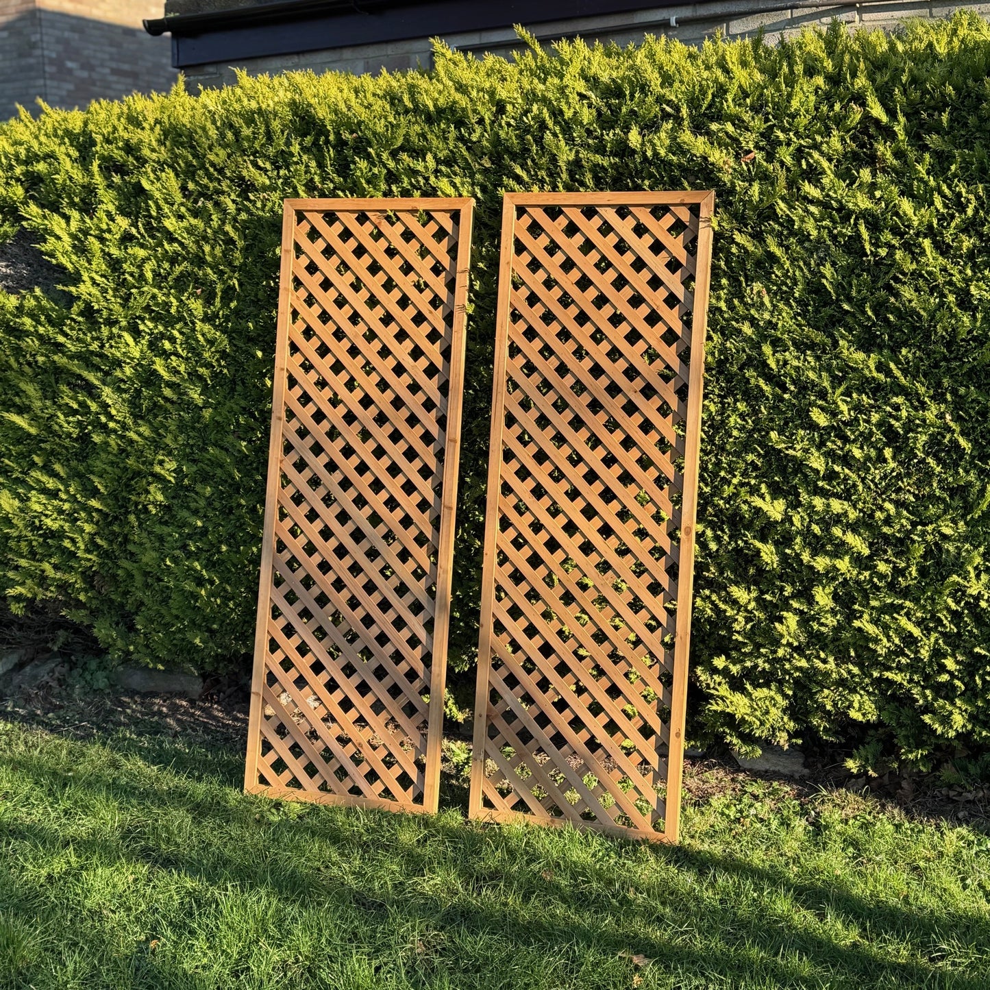 Wooden Framed Trellis Fence Panels (180cm x 60cm) - Pack of 2
