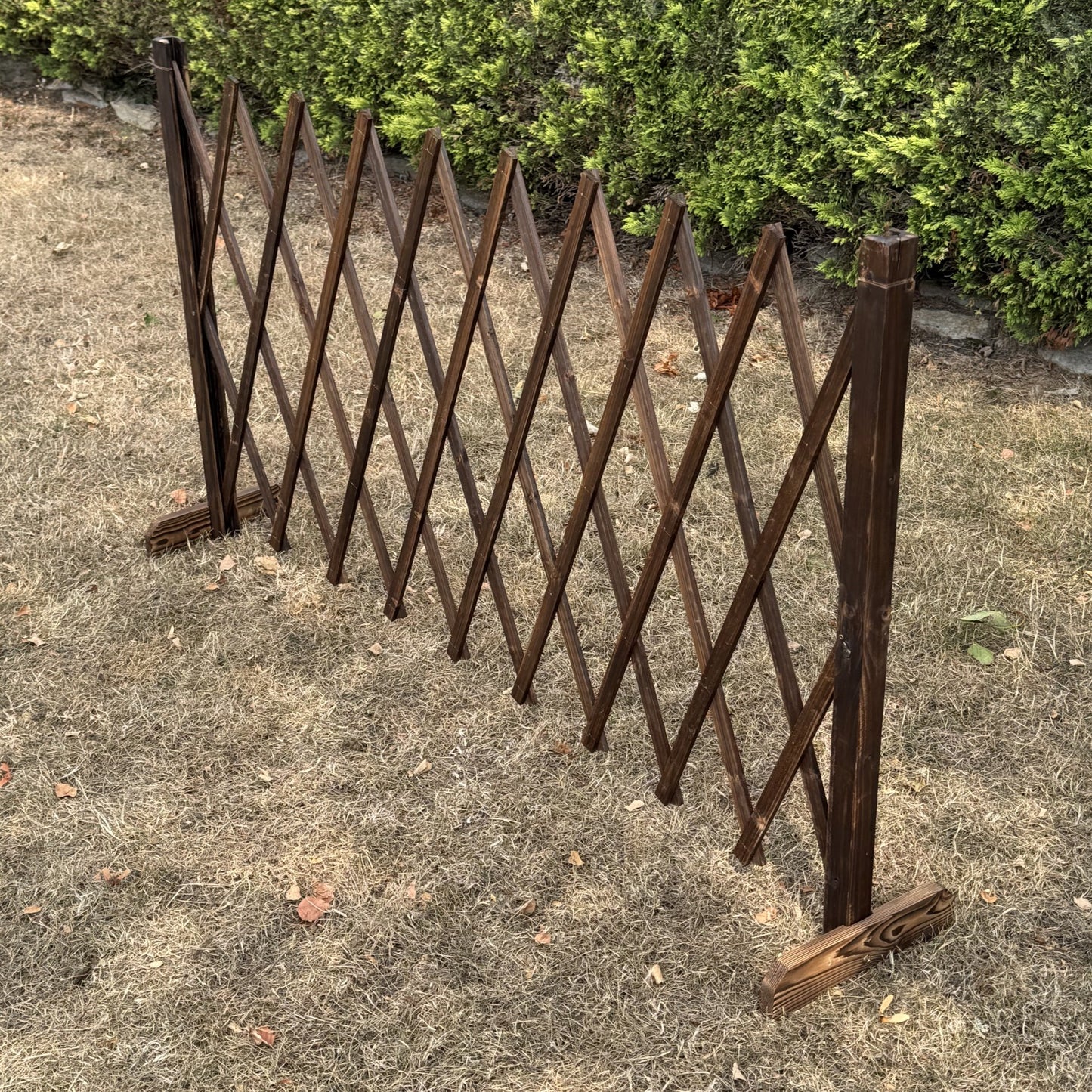 Freestanding Expanding Willow Garden Trellis Screen (196cm x 90cm)