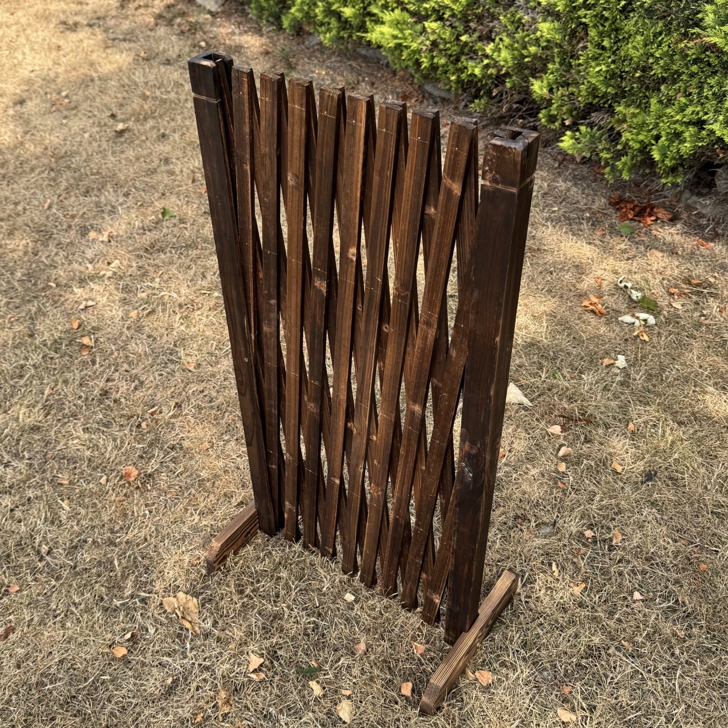 Freestanding Expanding Willow Garden Trellis Screen (196cm x 90cm)