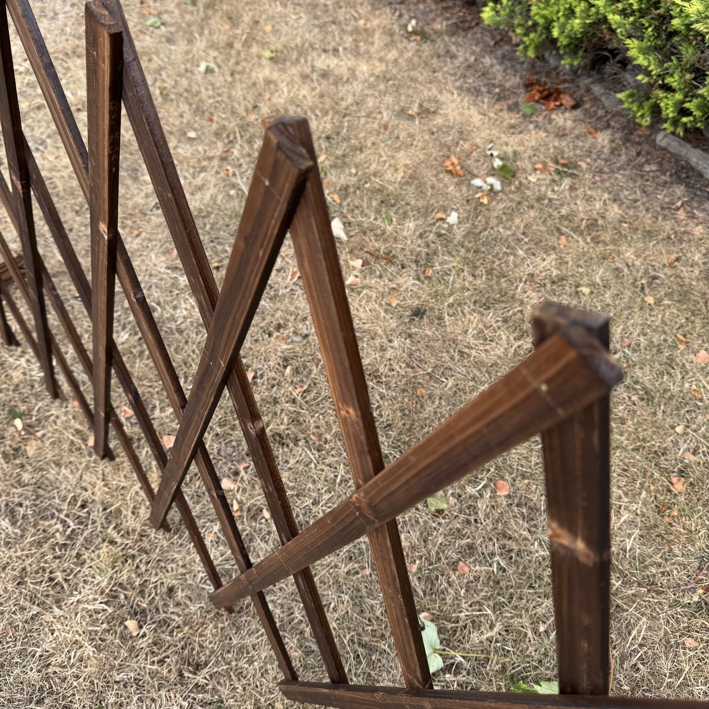Freestanding Expanding Willow Garden Trellis Screen (196cm x 90cm)