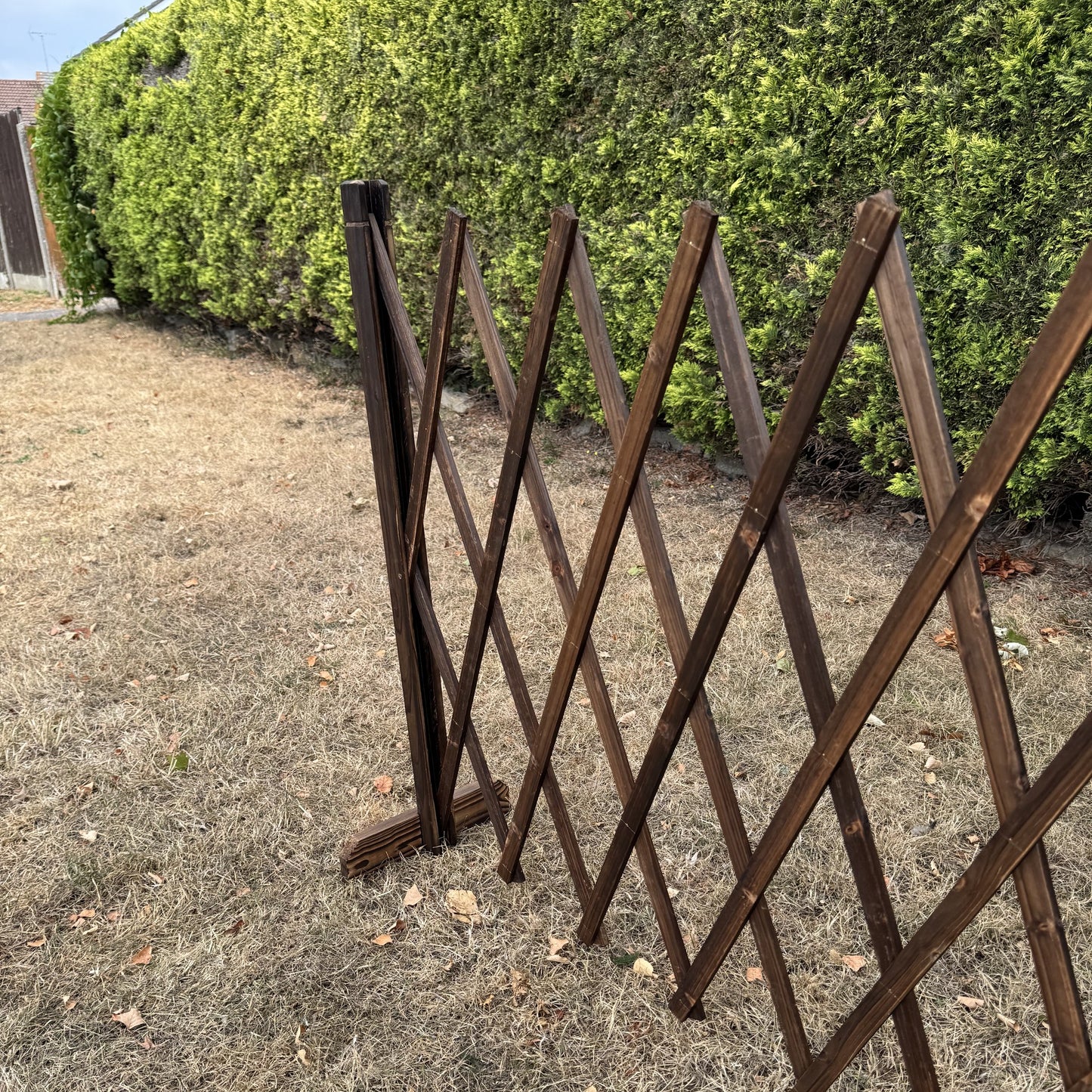 Freestanding Expanding Willow Garden Trellis Screen (196cm x 90cm)