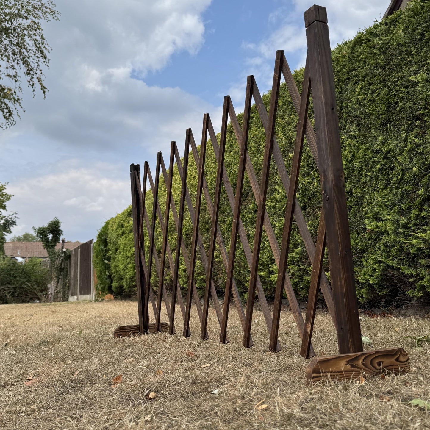 Freestanding Expanding Willow Garden Trellis Screen (196cm x 90cm)