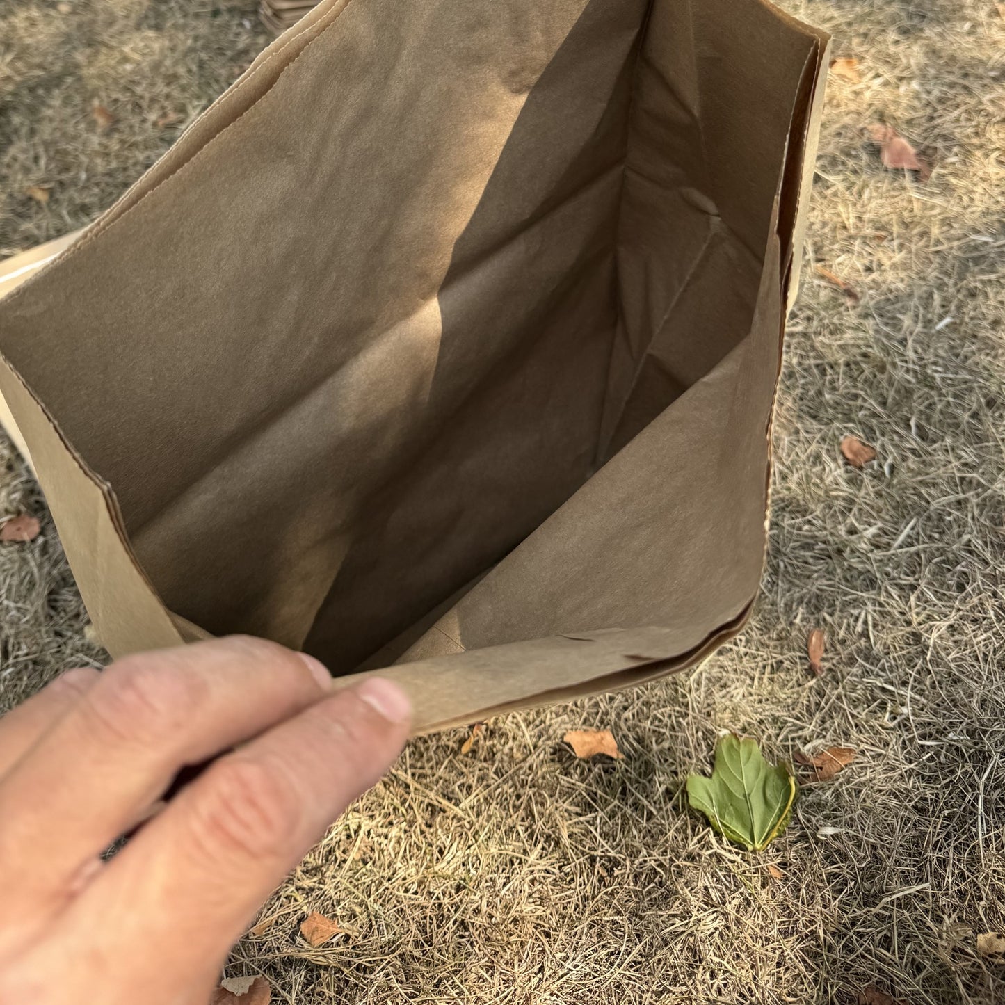 Large Paper Potato Storage Sacks - Pack of 10