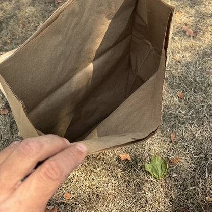 Large Paper Potato Storage Sacks - Pack of 10