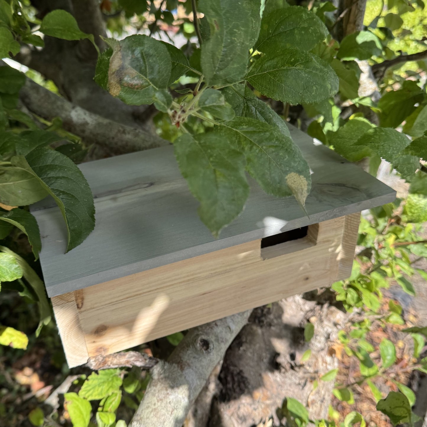 Swift Wooden Nesting Box
