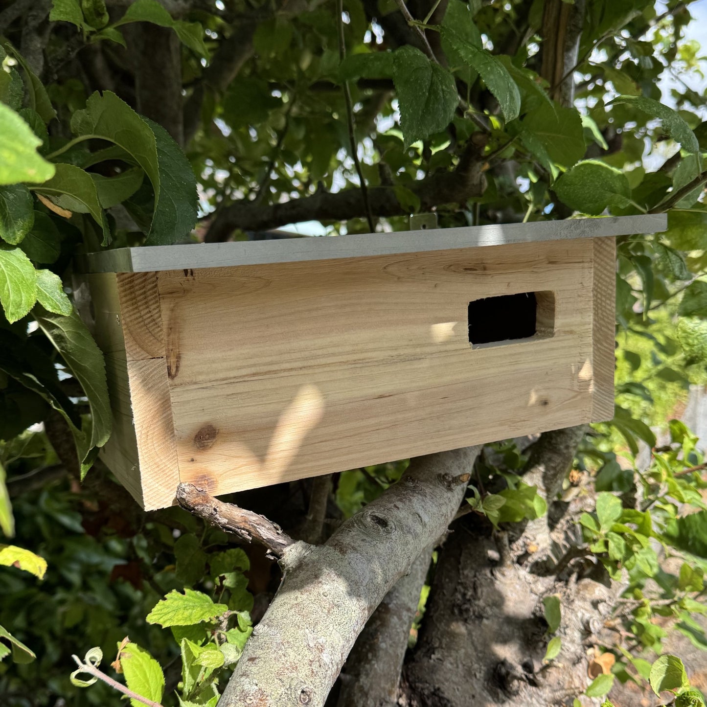 Swift Wooden Nesting Box