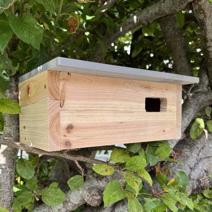 Swift Wooden Nesting Box