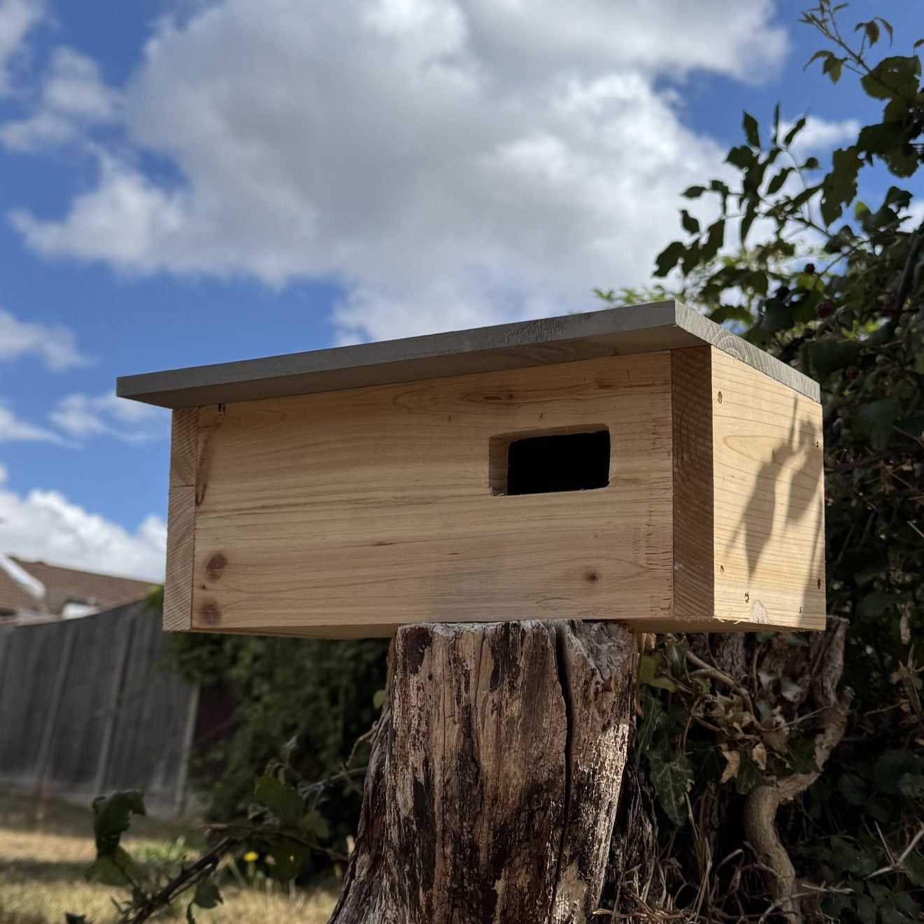 Swift Wooden Nesting Box