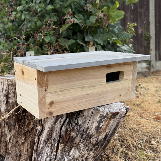 Swift Wooden Nesting Box
