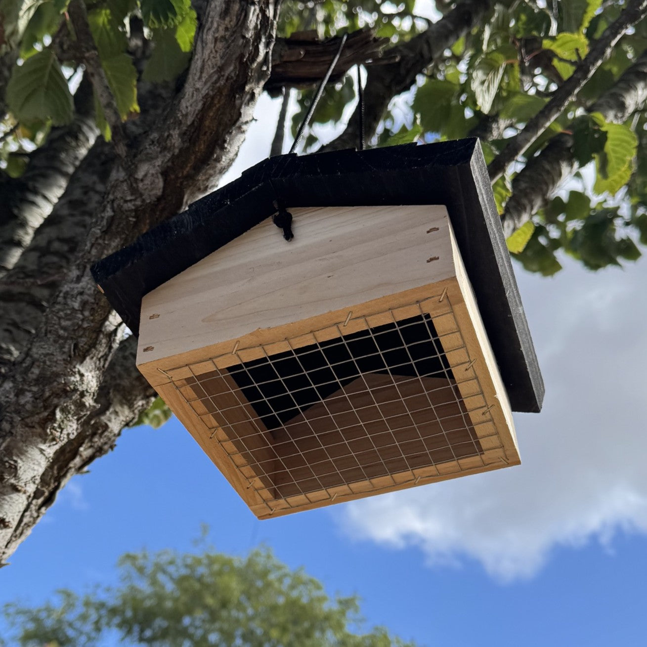 Wooden Upside Down Hanging Woodpecker Bird Feeder