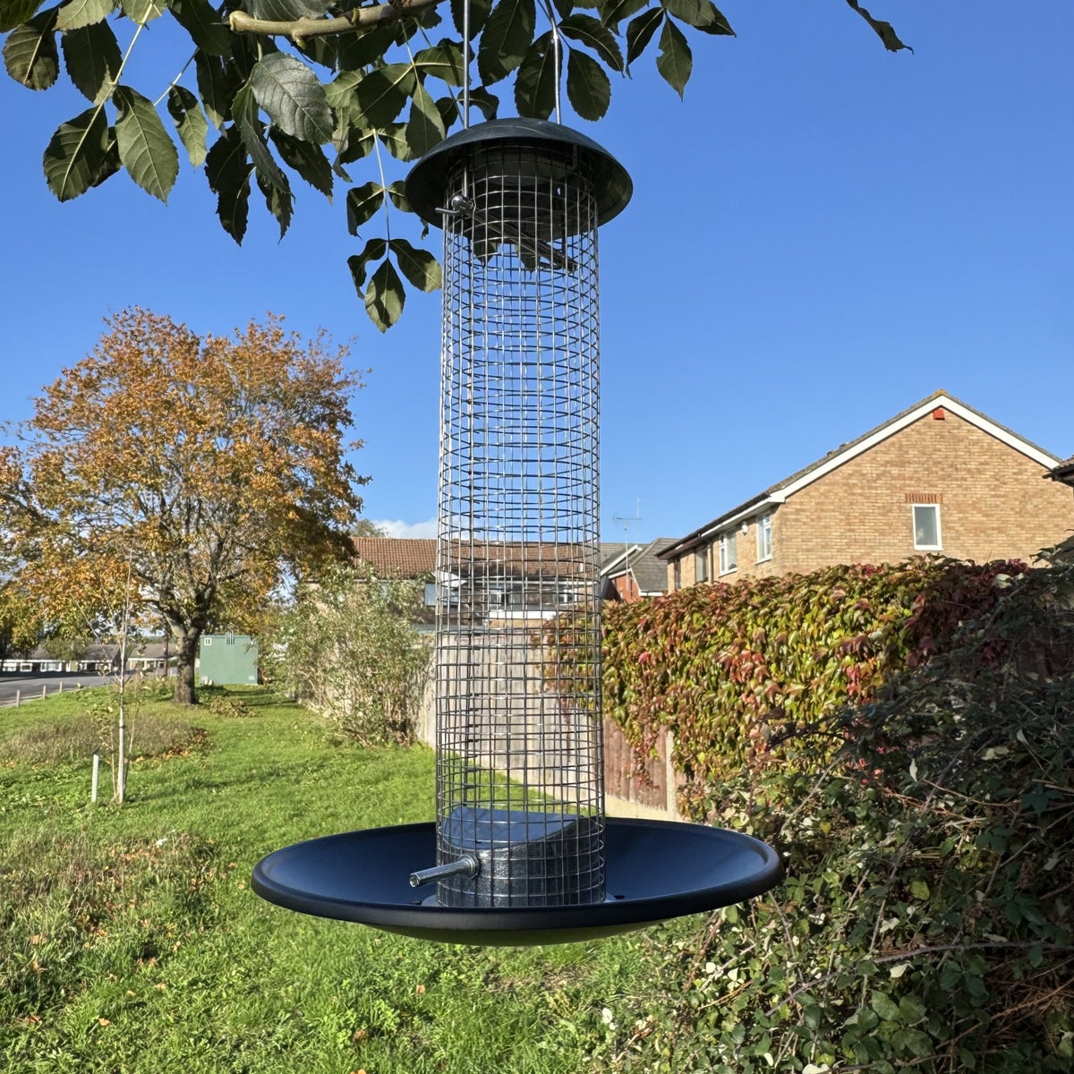 Heavy Duty Hanging Bird Peanut Feeder with Nut Catcher Tray