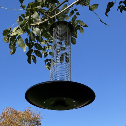 Heavy Duty Hanging Bird Peanut Feeder with Nut Catcher Tray