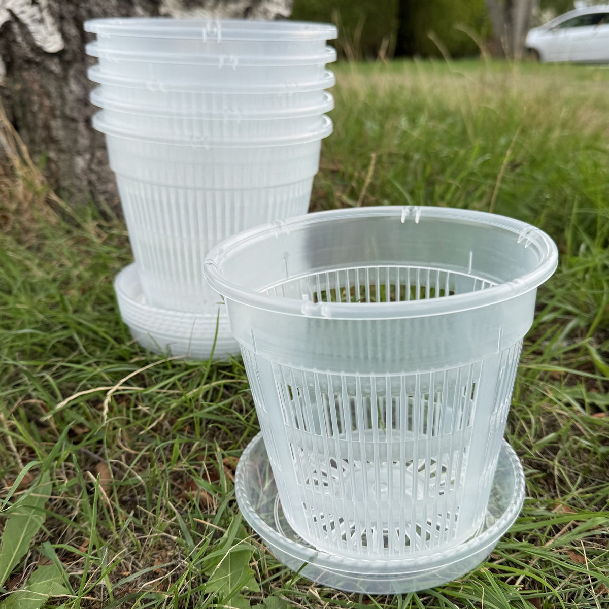 Large Orchid Flower Pots with Saucers 16cm - Pack of 6