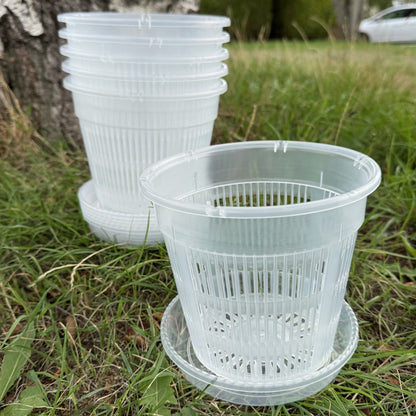 Large Orchid Flower Pots with Saucers 16cm - Pack of 6