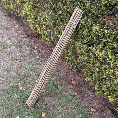 Bamboo Climbing Garden Plant Support Cane Sticks (120cm) - Pack of 40