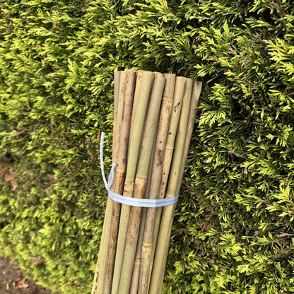 Bamboo Climbing Garden Plant Support Cane Sticks (160cm) - Pack of 40