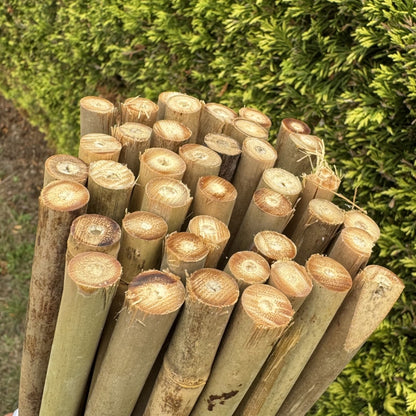Bamboo Climbing Garden Plant Support Cane Sticks (160cm) - Pack of 40