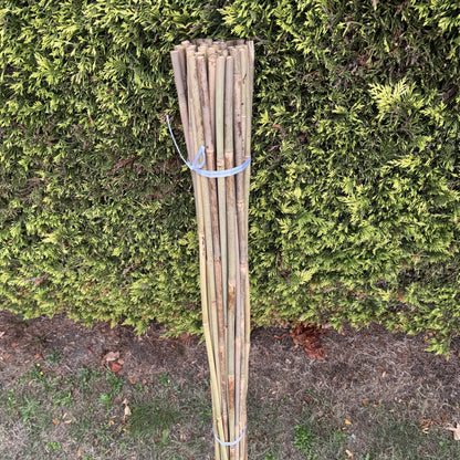 Bamboo Climbing Garden Plant Support Cane Sticks (160cm) - Pack of 40