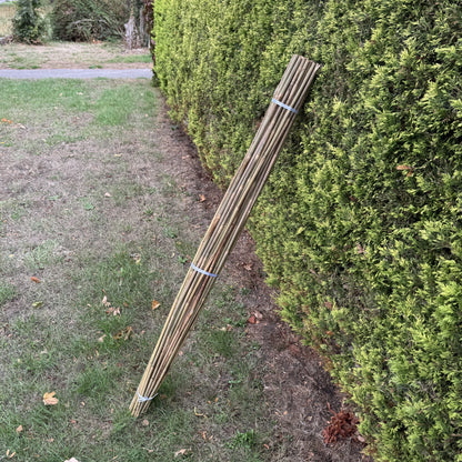 Bamboo Climbing Garden Plant Support Cane Sticks (160cm) - Pack of 40