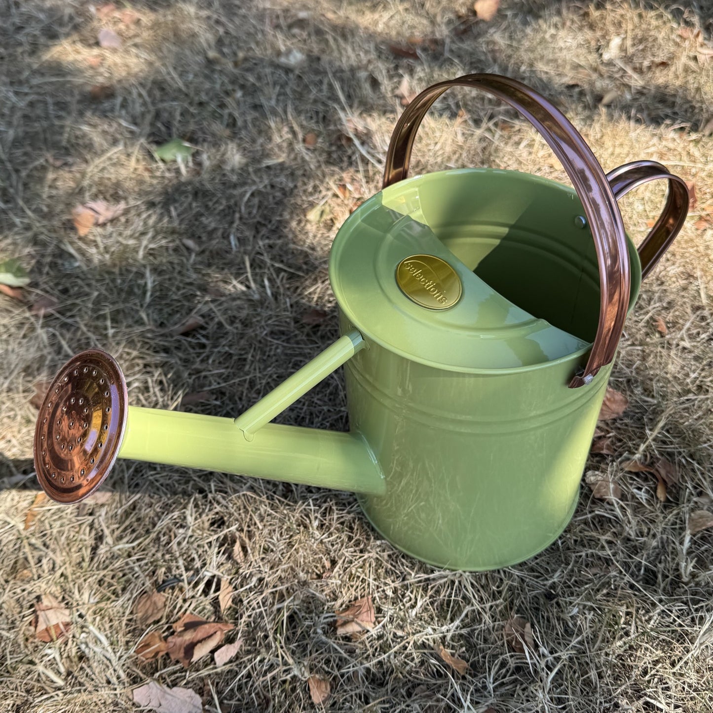Sage Green & Copper Metal Watering Can (3.5 Litre)