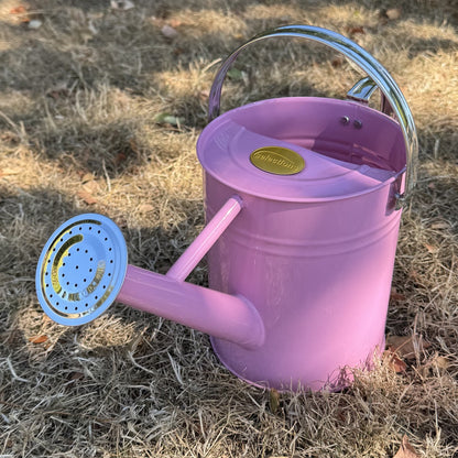 Pink & Chrome Metal Watering Can (3.5 Litre)