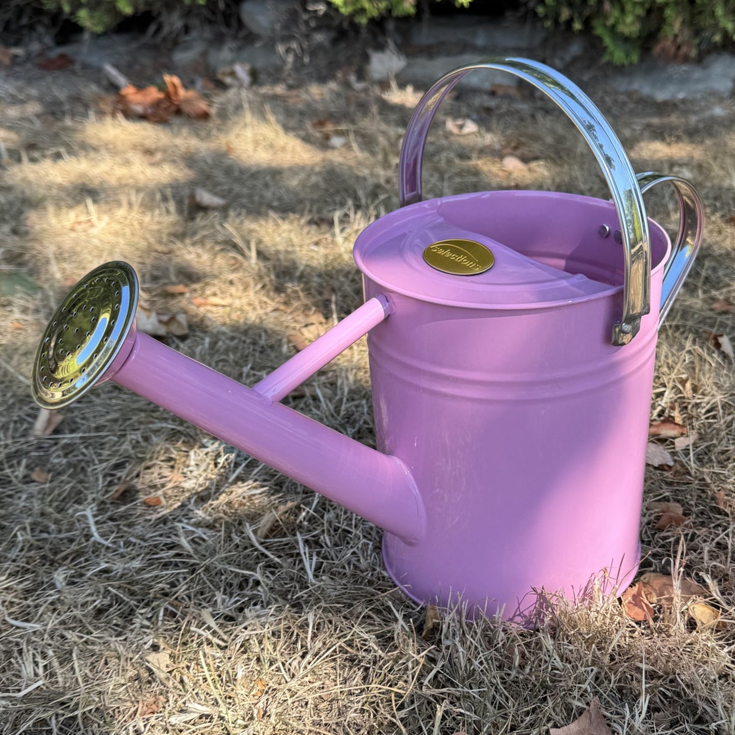 Pink & Chrome Metal Watering Can (3.5 Litre)
