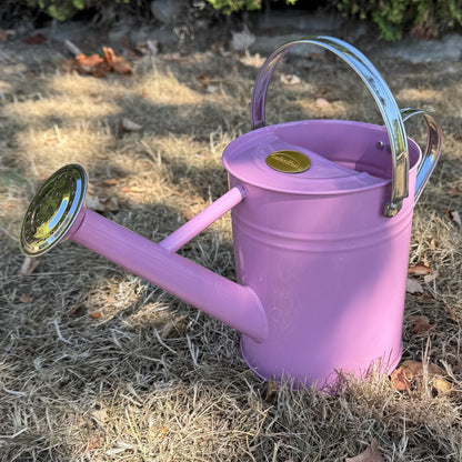 Pink & Chrome Metal Watering Can (3.5 Litre)