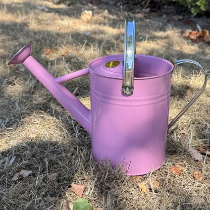 Pink & Chrome Metal Watering Can (3.5 Litre)