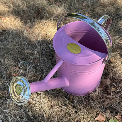 Pink & Chrome Metal Watering Can (3.5 Litre)