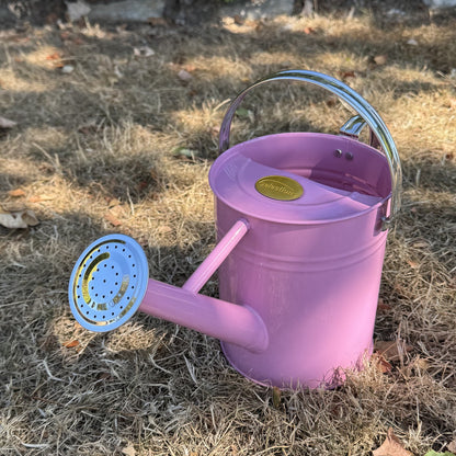 Pink & Chrome Metal Watering Can (3.5 Litre)