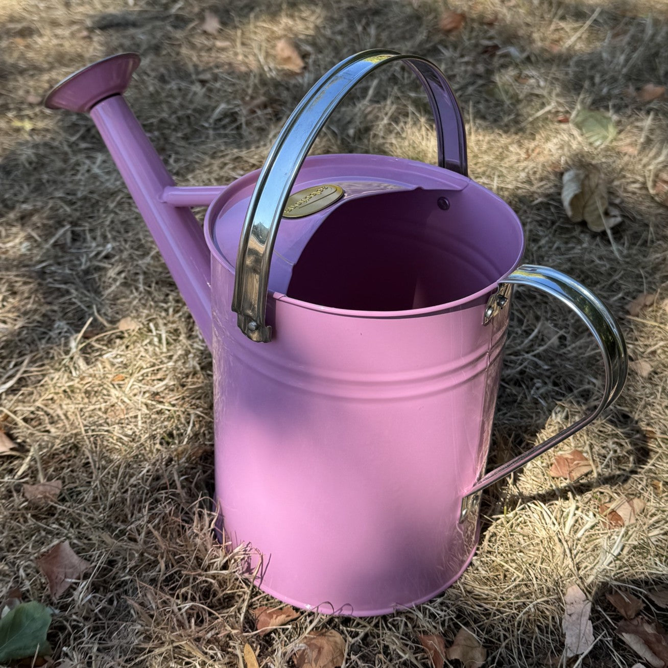 Pink & Chrome Metal Watering Can (3.5 Litre)