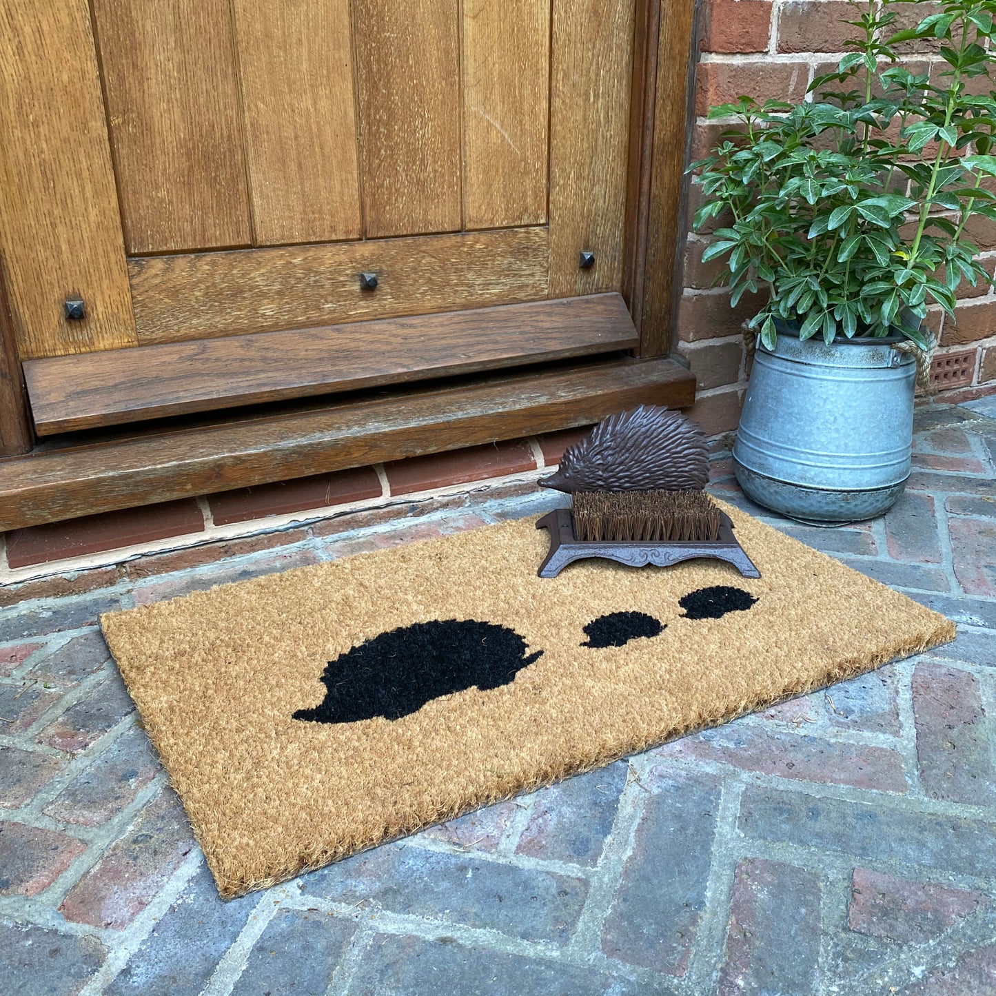 Hedgehog Doormat and Boot Brush Set