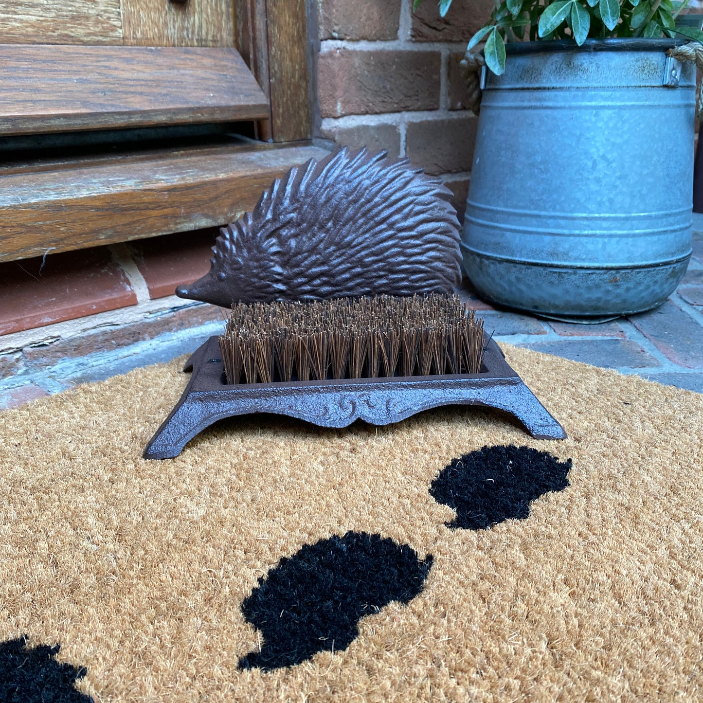 Hedgehog Doormat and Boot Brush Set