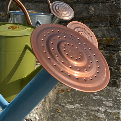 Rose for 9 Litre Duck Egg Blue Watering Can GFK166