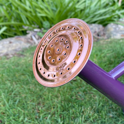 Rose for 3.5 Litre Heather and Copper Watering Can GFJ159