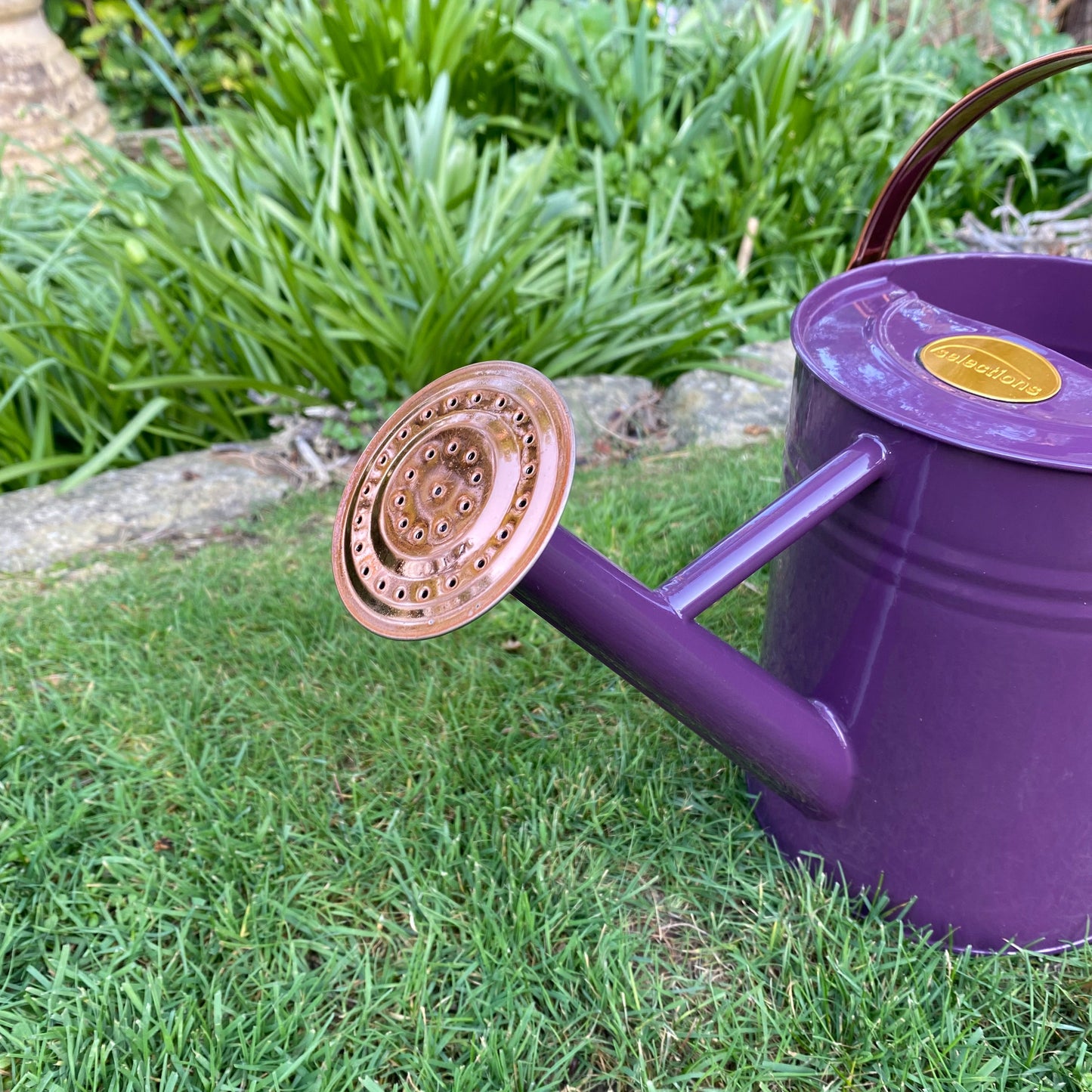 Rose for 3.5 Litre Heather and Copper Watering Can GFJ159