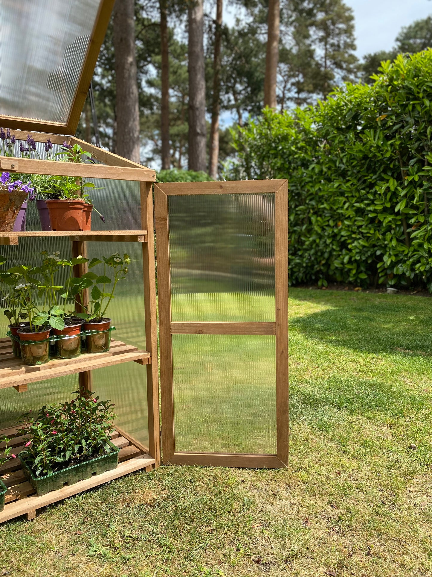 Door Panel for Selections Wooden Growhouse GFJ147