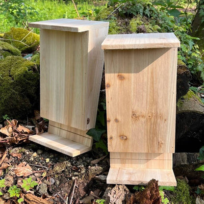 Set of 2 Wooden Bat Boxes with Landing Perch