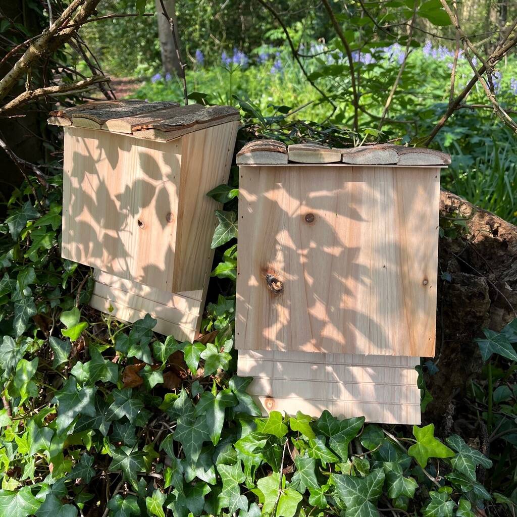 Set of 2 Large Wooden Bat Nesting Roosting Boxes