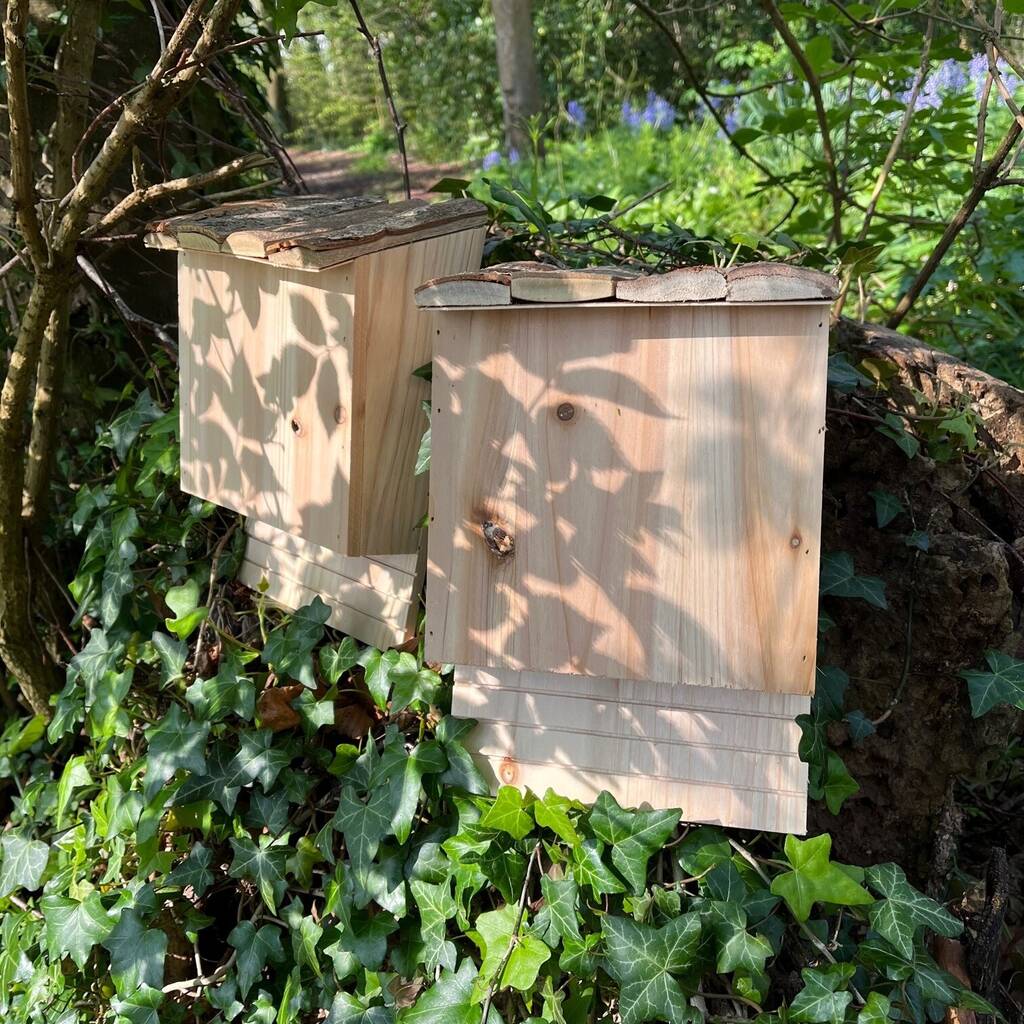 Set of 2 Large Wooden Bat Nesting Roosting Boxes