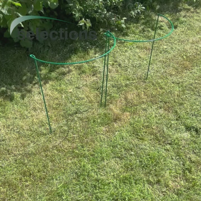 Garden Hoop Plant Bow Support System 45cm x 60cm (Pack of 2)