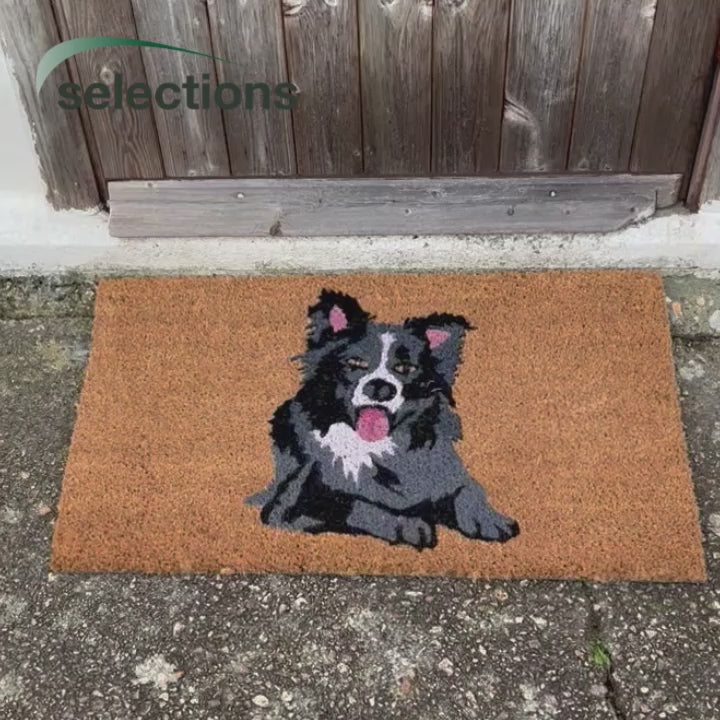 Dog shop proof doormat